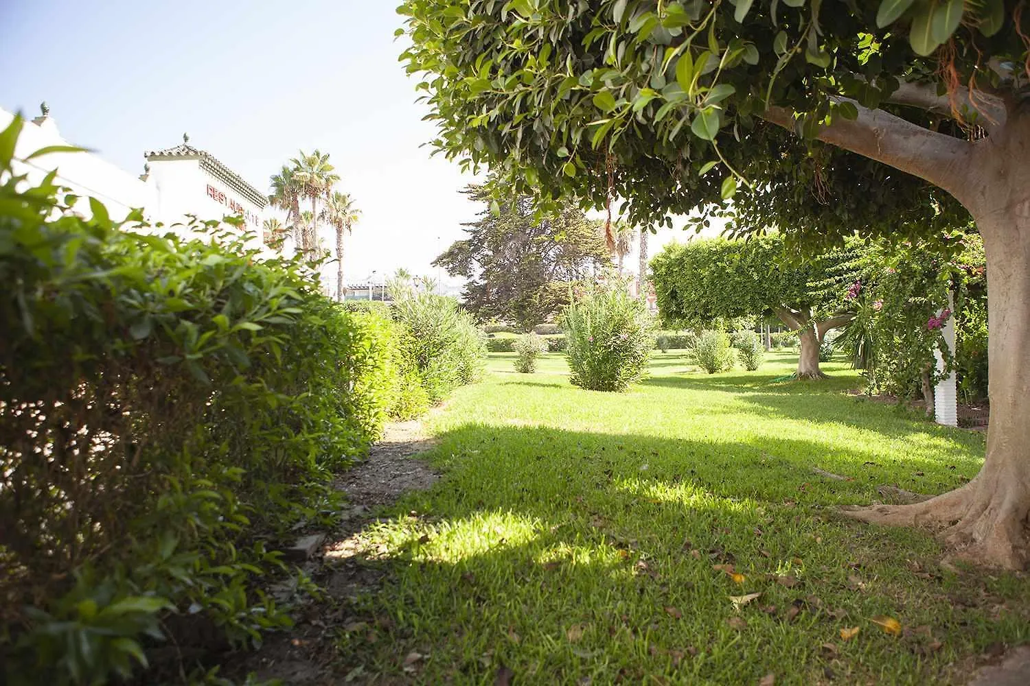 Apartamento A 100M De Playa Piscina Y Todos Los Servicios Torrox